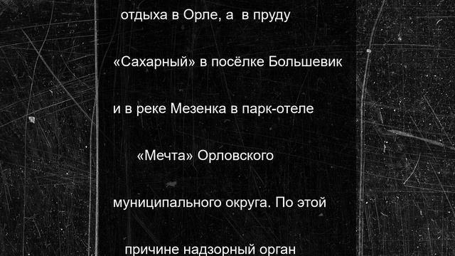 В Орловской области не все водоёмы пригодны для купания