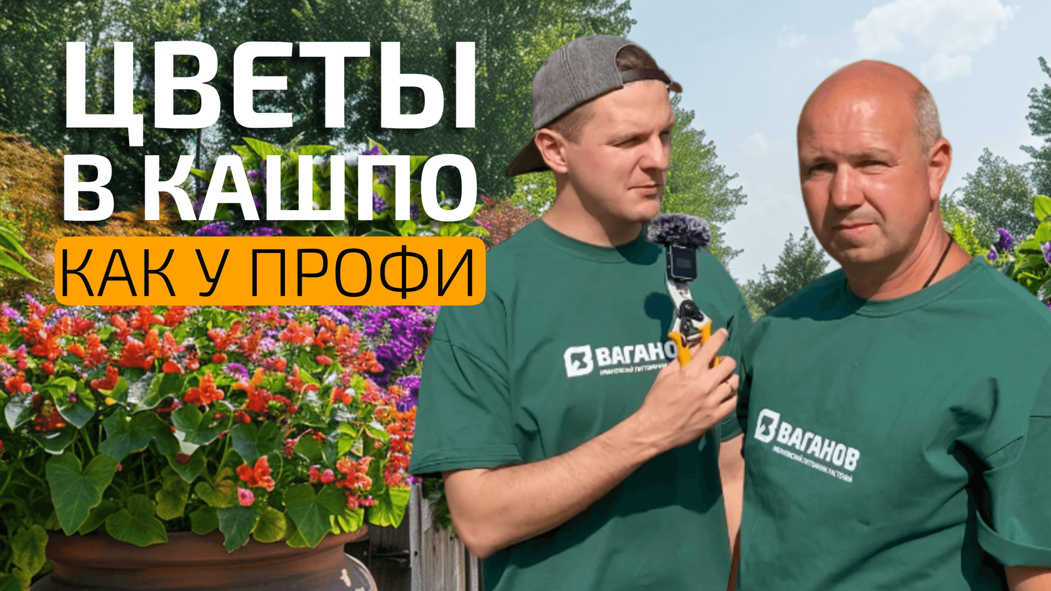 Как посадить цветы в уличные кашпо 🌸 Советы и ошибки от агронома