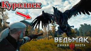 Клекотун - босс Ведьмак 3: Дикая охота /Сложность "боль и страдания"