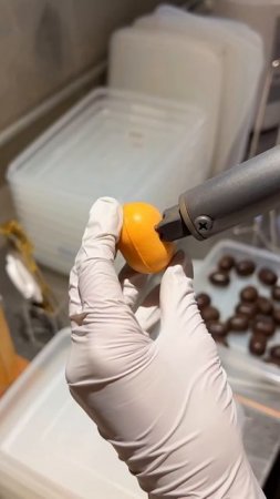 DIYQ2LjnfXo - 可愛い5種のベビーカステラ！手土産にもぴったり！大阪にある「カステラのあかちゃん」#大阪グルメ #japanesefood #japantravel