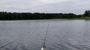Открыл сезон рыбалки. Огородные и садовые дела))) 22-06-2025
