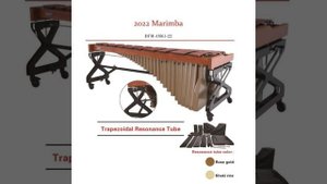 DFTF Маримба 5 октав АМ61- 22