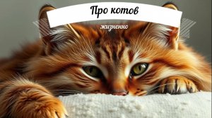 Про котов