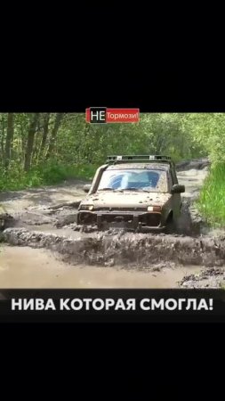 Царь Нива против ГАЗ 66 на бездорожье #нива #ладанива #niva #лада4х4
