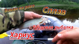 Сплав. Трудовая рыбалка.Хариус.