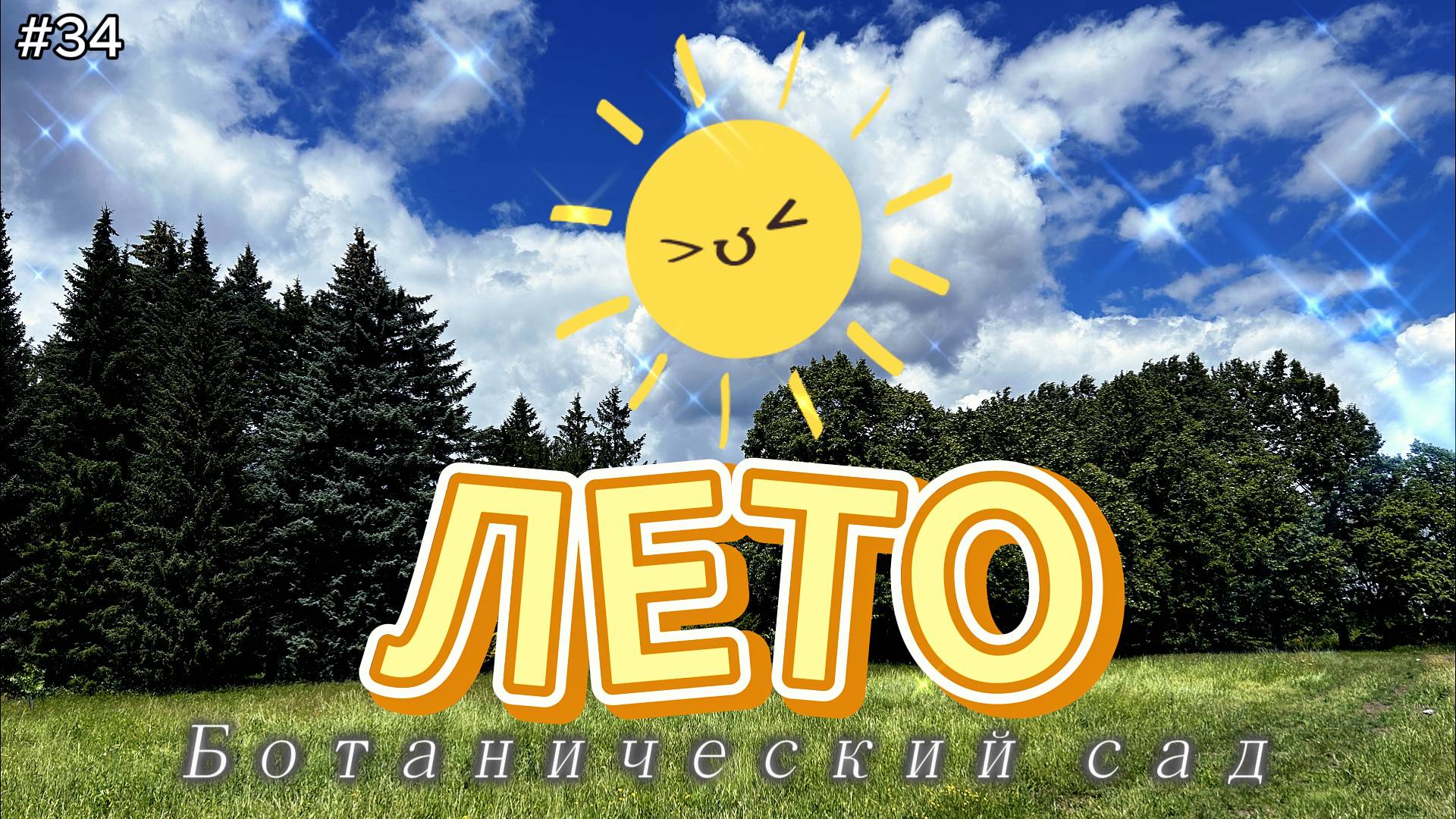 34-Лето ботанический сад. Розарий. Рокарий. Ставрополь