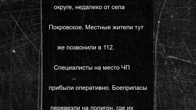 Боеприпасы времен Великой Отечественной обнаружили в Подмосковье