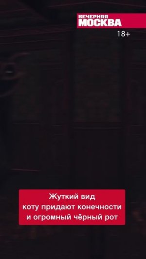 Почему страшные игрушки популярны у детей? // Вечерняя Москва