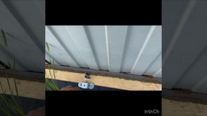 Закрываем щель ворот / Дачный вопрос