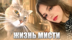Жизнь Мисти