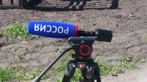 НОВОСТИ БАЛТИЙСКА