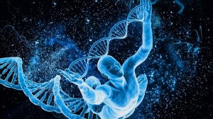 Связь между разумом и телом - Нил Недли. Часть 2