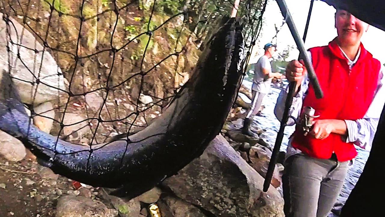 Феерическая УМБА. Горбуша ОГОНЬ! Первый наш выезд на Терский берег Белого моря.