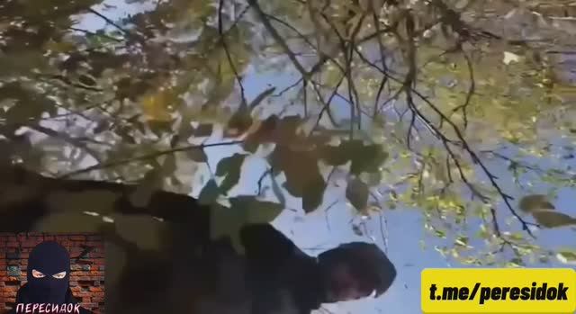 Супчик отъехал к Бандере