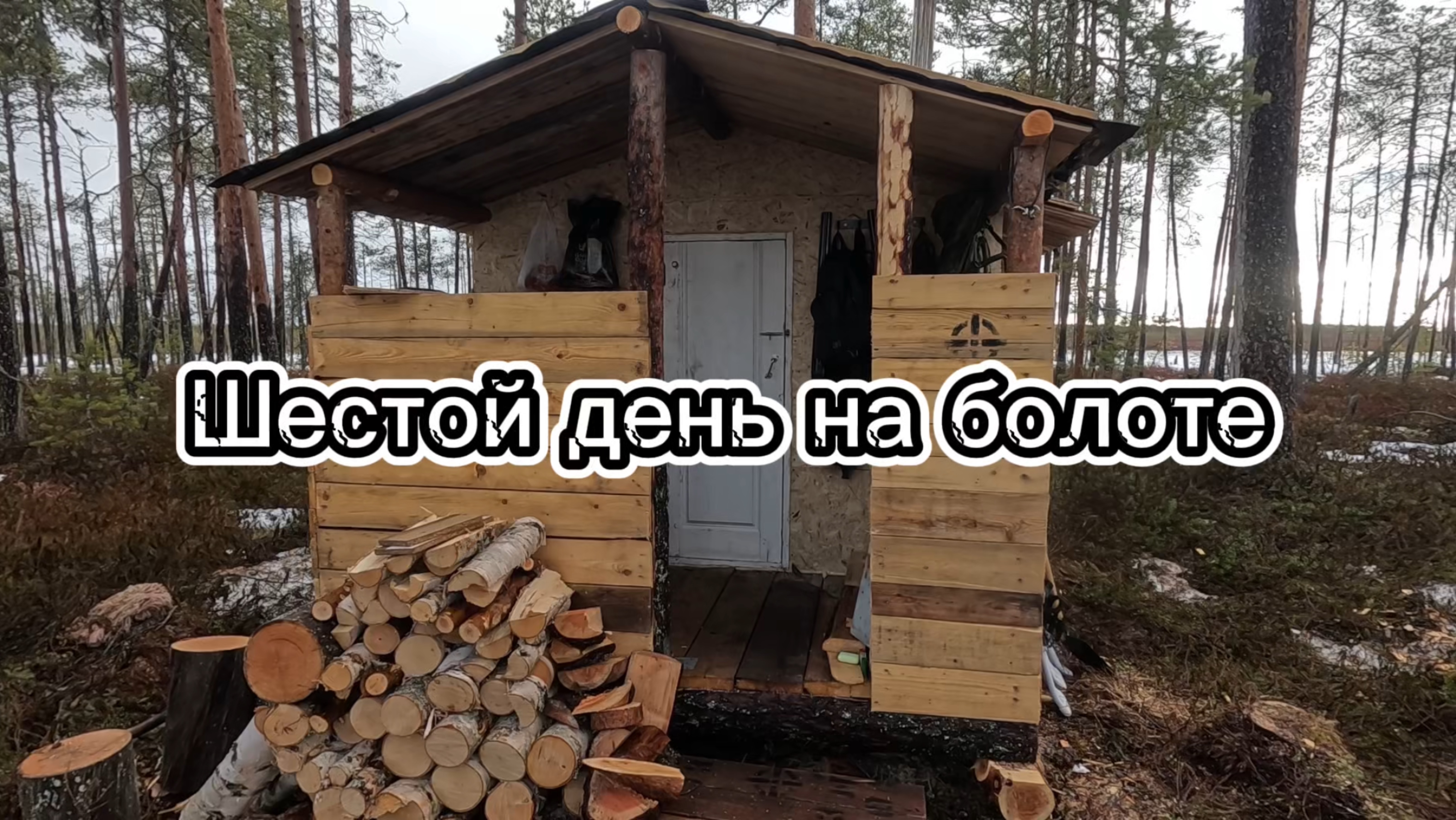 Шестой день на болоте! ОХОТА НА ГУСЯ 2025 в Республике Коми .