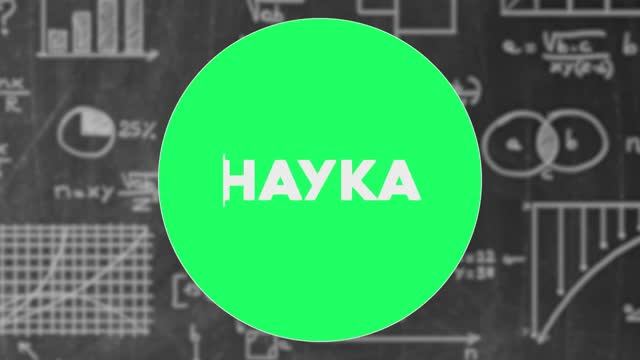 Проекты учеников технопарка Альтаир