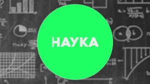 Проекты учеников технопарка Альтаир