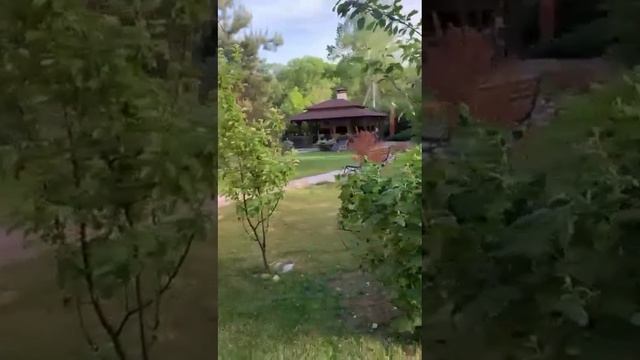 видео дома