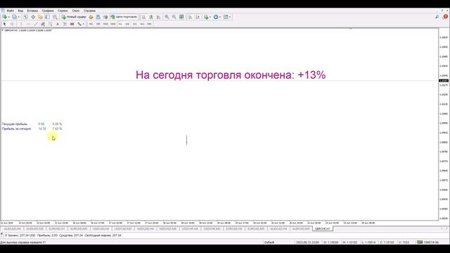 2025-06-24. Валютный рынок. Торговля. Результат