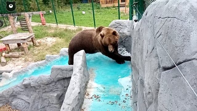 У вас протечка. Я сейчас все починю