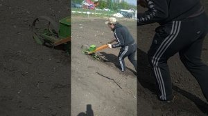 Обзор ручной однорядной  сеялки Senior и посев овощной кукурузы