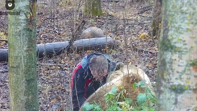 Поделись Мансурчик ты спать собираешься этой зимой?❓