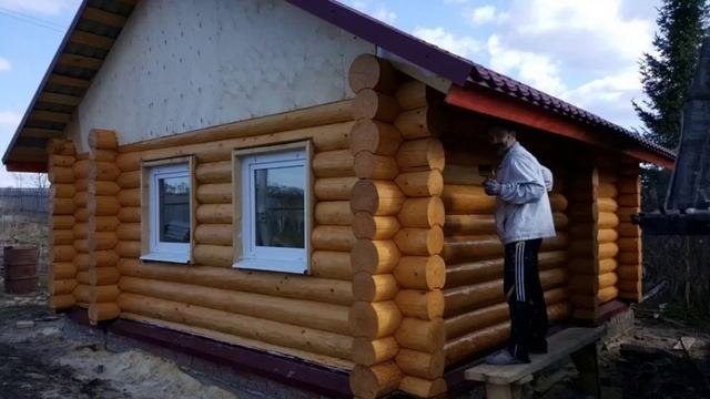 Цвет Подсолнух