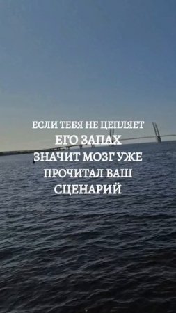 как запах влияет на поиск партнёра