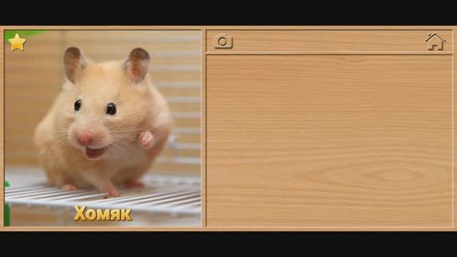 Мультфильмы для детей . Мультики для малышей. Пазлы.Детям,