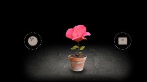 я сломал мозг.|1|mitoza митоза