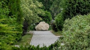 Предприниматели благоустроили городскую территорию