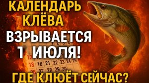 1 ИЮЛЯ ЛЕТНИЙ ВЗРЫВ АКТИВНОСТИ! Рыба входит в РЕЖИМ БЕРСЕРКА