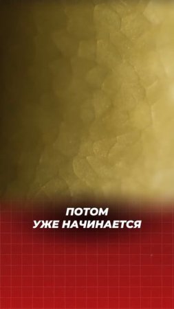 Девственное размножение: как природа обходится без партнёра? #shorts #биология