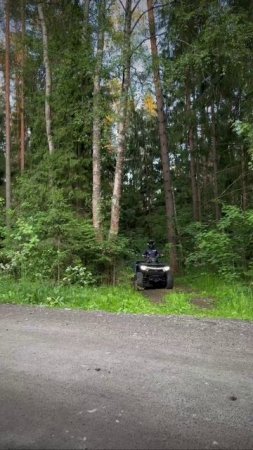 ⚡️CFMOTO CFORCE 1000 EPS любит лес и скорость 🏎️💨