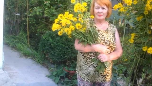 Мои питомцы 1