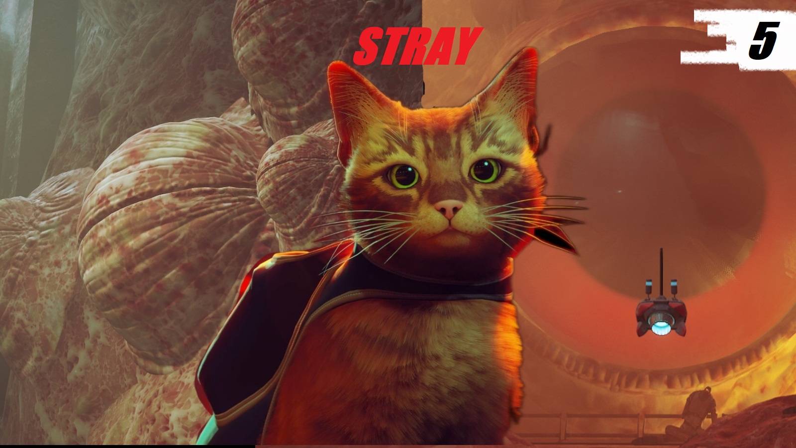 STRAY😿СТАЛ ЖЕРТВОЙ ЗУРКОВ👁️ОСТАЛСЯ БЕЗ ЗАЩИТЫ⚔️ОСОЗНАЛ ВСЁ🗃️часть 5