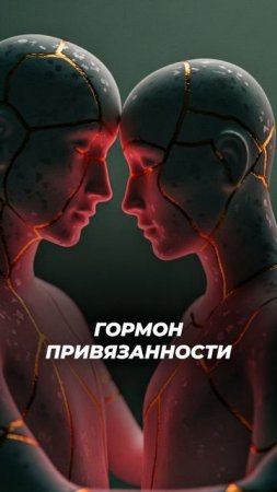 Что делает мозг, когда ты влюбился? #shorts #биология