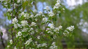 ЗИМА-ВЕСНА-ЛЕТО 2025