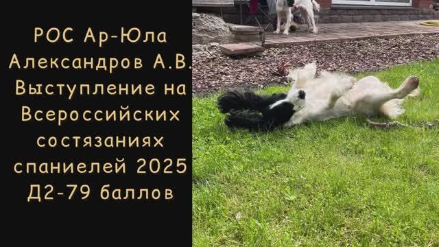 РОС Ар-Юла (Александров А.В.) на Всероссийских состязаниях спаниелей 2025
