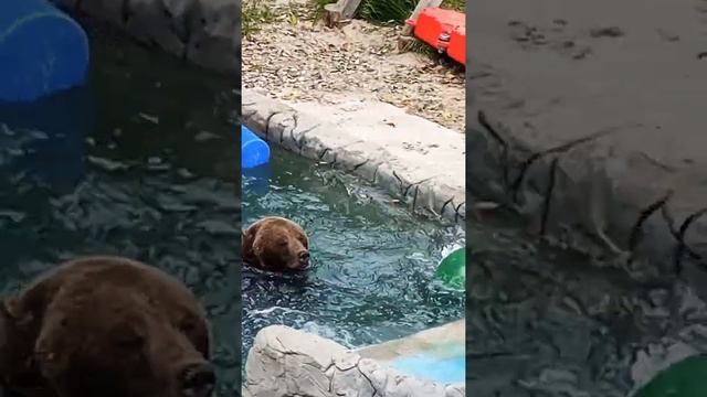 Да,купаюсь в конце сентября...могу себе позволить