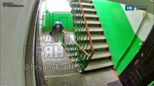 В Брянске мужик в подъезде под камерой справил большую нужду