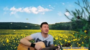 Андрей Шемето - Сын (акустический рок, песня под гитару)