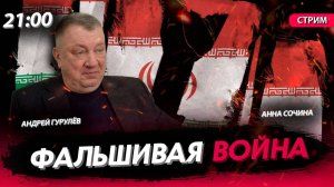 Фальшивая война [Андрей Гурулёв. СТРИМ]