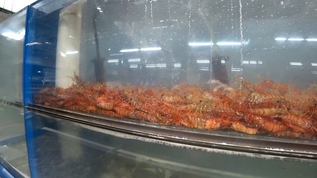 КАНАДА/СУПЕРМАРКЕТ/ЦЕНЫ/ТОВАРЫ/ОБЗОР/сколько потрачено на продукты питания