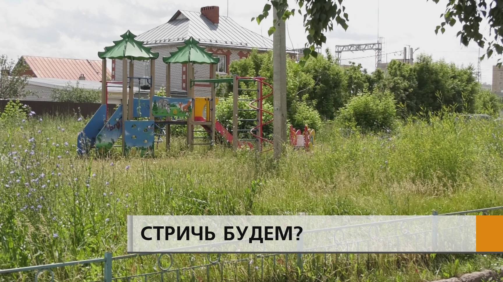 Лавочек больше нет, а трава вымахала по пояс