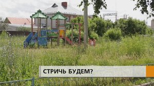 Лавочек больше нет, а трава вымахала по пояс