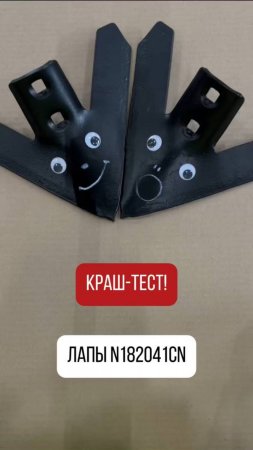 Лапы под угрозой😱