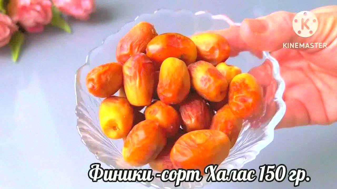 Забытый рецепт из 90-х — дешево и вкусно! Бабушкин секрет, который стоит вспомнить сейчас! Просто!
