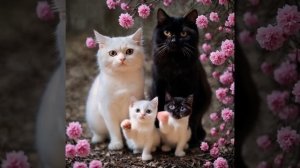 🤗🤗🤗🌈🌈🌈🌈