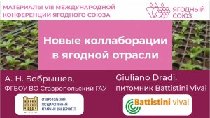 Новые коллаборации в ягодной отрасли. Ставропольский ГАУ и Battistini. Конференция Ягодного Союза